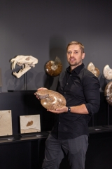 Аммонит Coilopoceras springeri