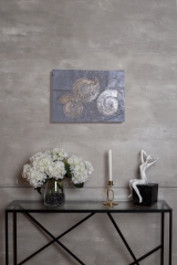 Аммониты Harpoceras sp.