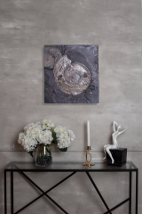 Аммониты Harpoceras sp.