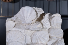 Раковины гребешков Gigantopectens restitutensis