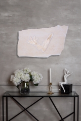 Головоногий моллюск Acanthoteuthis sp. 