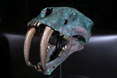 Реплика черепа саблезубой кошки Smilodon fatalis