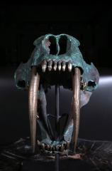 Реплика черепа саблезубой кошки Smilodon fatalis