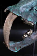 Реплика черепа саблезубой кошки Smilodon fatalis