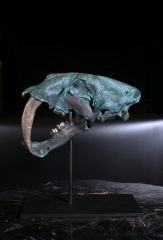 Реплика черепа саблезубой кошки Smilodon fatalis