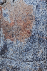 Яйцо динозавра Oviraptor sp.