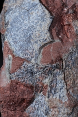 Яйцо динозавра Oviraptor sp.