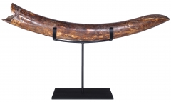 Бивень мамонта 