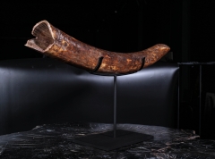 Бивень мамонта 