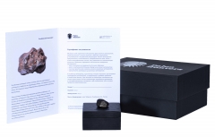 Челябинский метеорит 7,6 г