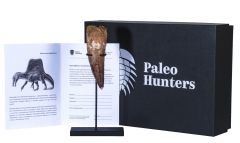 Зуб спинозавра