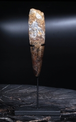 Зуб спинозавра