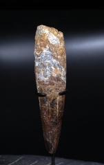 Зуб спинозавра