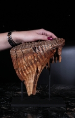 Зуб мамонта 