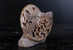 Аммонит Shloenbacchia sp.