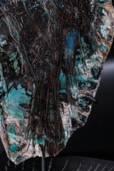 Окаменелое дерево Colla Wood