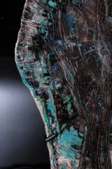 Окаменелое дерево Colla Wood