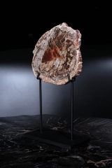 Окаменелое дерево