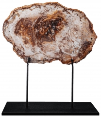 Окаменелое дерево