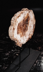 Окаменелое дерево