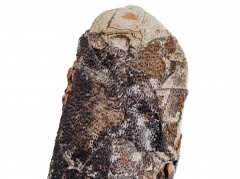 Яйцо динозавра Oviraptor sp.