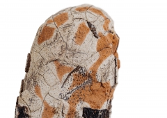 Яйцо динозавра Oviraptor sp.