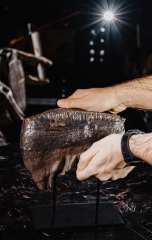 Зуб мамонта 