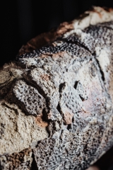 Яйцо динозавра Oviraptor sp.