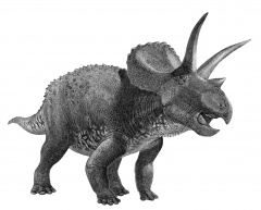 Панно с зубом трицератопса