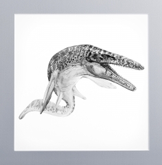 Панно с зубом мозазавра