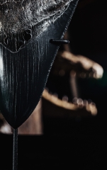 Зуб мегалодона 11,2 см коллекционного качества