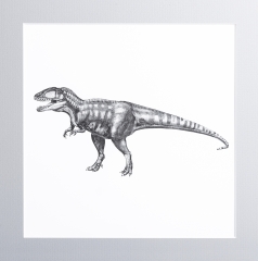 Панно с зубом динозавра Carcharodontosaurus saharicus