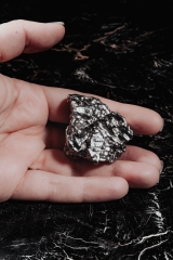 Метеорит Campo del Cielo 133 г