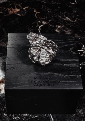 Метеорит Campo del Cielo 133 г