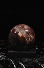 Шар из окаменелого дерева