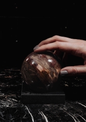 Шар из окаменелого дерева