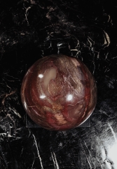 Шар из окаменелого дерева