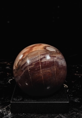 Шар из окаменелого дерева