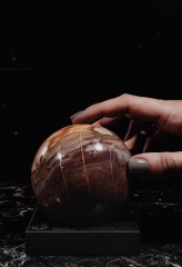 Шар из окаменелого дерева