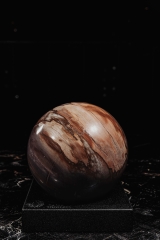 Шар из окаменелого дерева