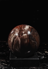 Шар из окаменелого дерева