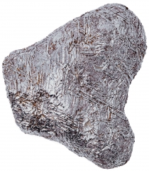 Метеорит Сеймчан 2760 г