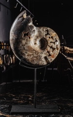 Аммонит Shloenbacchia sp.