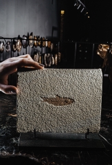 Рыба Knightia sp.