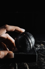 Метеорит Aletai 570 г