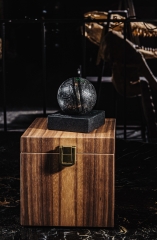 Метеорит Aletai 570 г