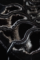 Аммонит Cleoniceras sp.