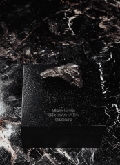 Метеорит Сихотэ-Алинь 26,1 г