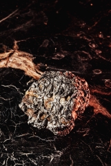 Метеорит Сеймчан 179 г