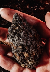 Метеорит Сеймчан 179 г